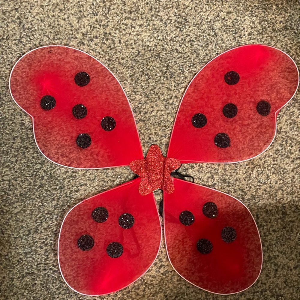 Character Day/Halloween costume & Ladybug Girl and the Pumpkin Patch Book